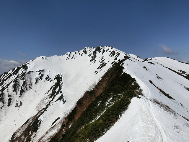 小仙丈へ下山途中で、雲が取れ、振り返る仙丈ケ岳が素晴らしい。