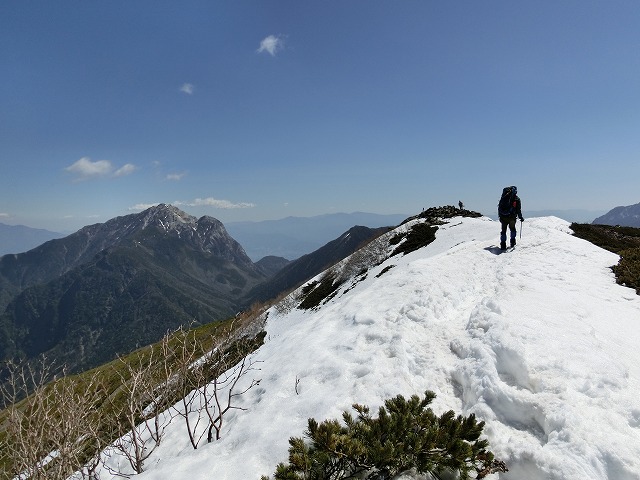 小仙丈付近の雪稜を歩く。 左奥は甲斐駒ケ岳。